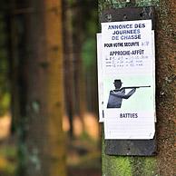 Announcement of hunting season in forest, Ardennes, Belgium