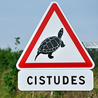 Warning sign / Traffic sign for crossing European pond terrapin / turtle / tortoise (Emys orbicularis), La Brenne, France