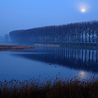 Creek at night, Belgium