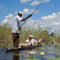 Tourists traveling in traditional wooden canoe, mokoro / makoro in the Okavango Delta, Botswana, Africa
