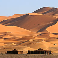 Bedouin tents and dromedary camels (Camelus dromedarius) in front of red sand dunes,  Erg Chebbi, Sahara desert, Morocco