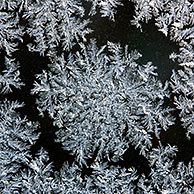 Ice-crystals / frost flowers on frozen window in winter, Belgium