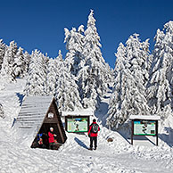 Tourists and frozen snow covered spruce trees in winter at Brocken, Blocksberg in the Harz National Park, Germany