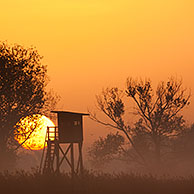 Raised stand for hunting roe deer in morning mist at sunrise in field