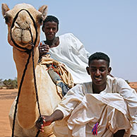 Boys with dromedary camel (Camelus dromedarius) near the pyramides of Meroe, Sudan, Africa