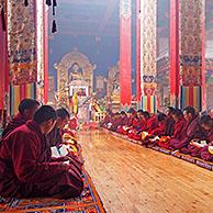 Young Tibetan monks saying mantras and meditating in Dzogchen Gompa / Deogchen monastery near Zhuqing, Sichuan Province, China