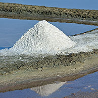 Salt pan for the poduction of Fleur de sel / sea salt on the island Ile de Ré, Charente-Maritime, France