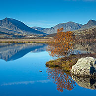 Mountains Doeralen / Dørålen reflected in Lake Dørålstjørnin, Rondane National Park, Dovre, Norway, Scandinavia