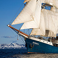 The tall ship / barquentine Antigua sailing with tourists towards Svalbard, Spitsbergen, Norway