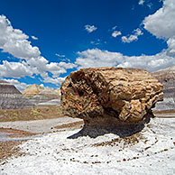 Petrified pedestal log along the Blue Mesa trail in the Painted Desert and Petrified Forest NP, Arizona, USA