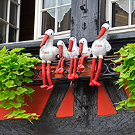 Storks on colorful facade of timber framed house at Colmar, Alsace, France 