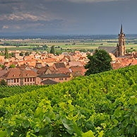 Thunderstorm approaching vineyards and view over the village Dambach-la-Ville, Vosges, Alsace, France
