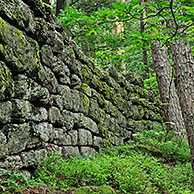 The Pagan Wall / Mur Païen in forest near Mont Sainte-Odile, Vosges, Alsace, France